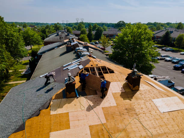 24/7 Emergency Roof Replacement experts in Lookout, WV
